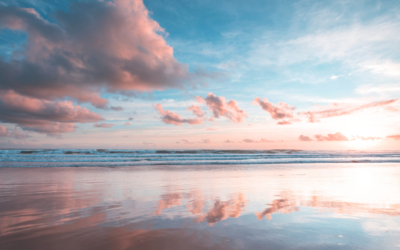 A Place for Reflection, Creativity, and New Beginnings